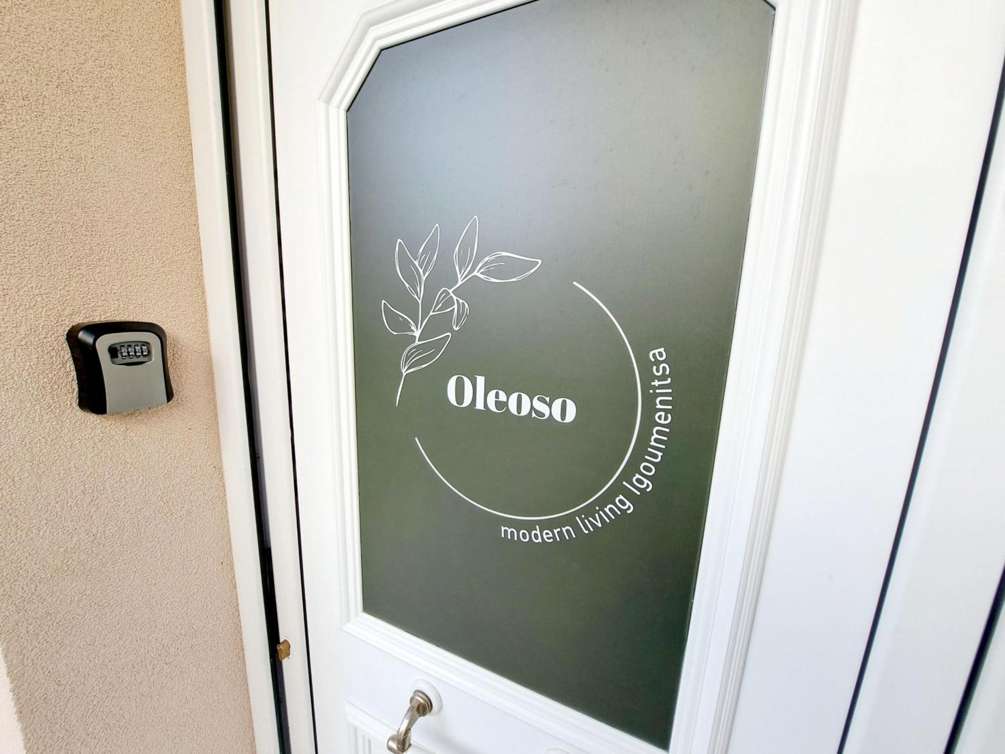 Oleoso Apartment Igoumenitsa Exterior photo